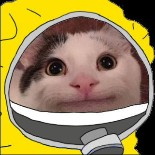 A cat in a yellow helmet